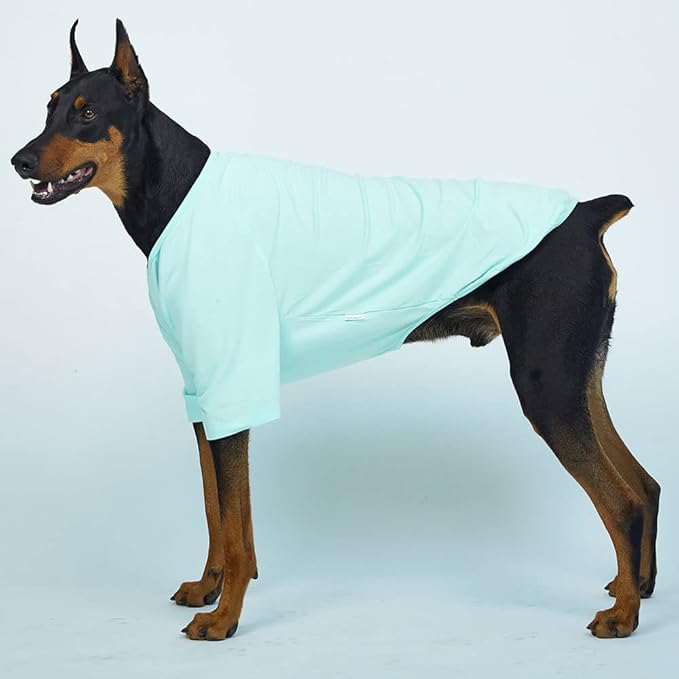 Dog Shirt for Small Dogs Plain T-Shirts Soft Breathable Dog Cotton Shirt pet Clothes (4X-Large, Mint)