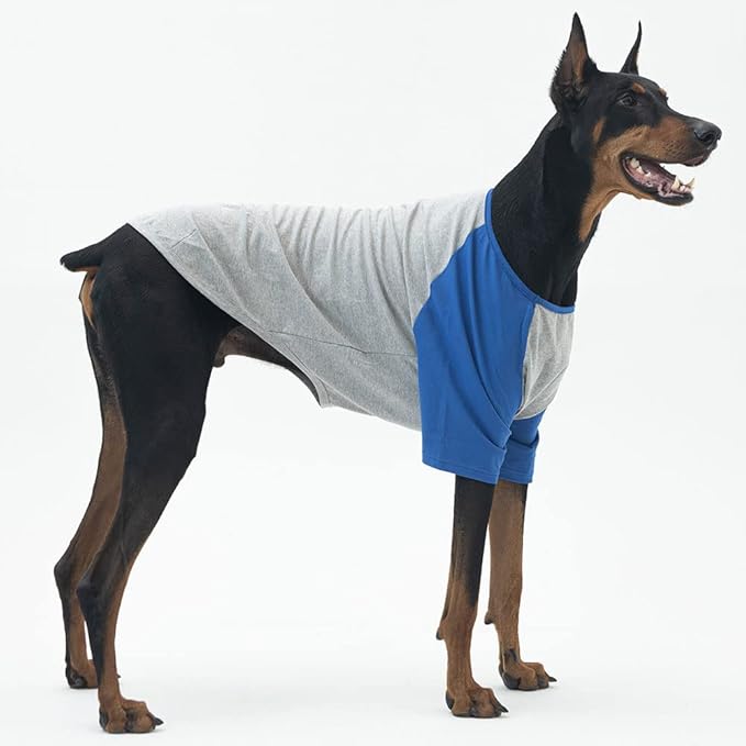 Dog Shirt for Small and Large Dogs Raglan Cotton T-Shirts Soft Breathable Dog Shirts pet Clothes Gray Series (3X-Large, Gray/Blue)