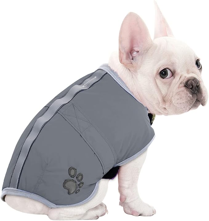 Queenmore Dog Winter Coat, Cold Weather Fleece Jacket for Dogs, Waterproof Reflective Reversible, for Small, Medium and Large Dogs (Grey, XL)