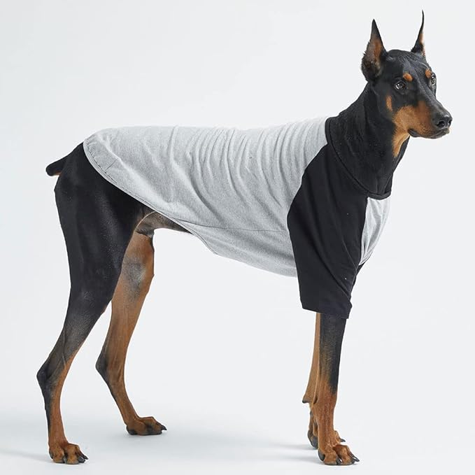 Dog Shirt for Small and Large Dogs Raglan Cotton T-Shirts Soft Breathable Dog Shirts pet Clothes Gray Series (3X-Large, Gray/Black)