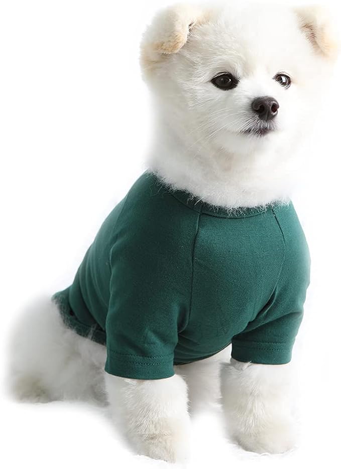 Dog Shirt for Small Dogs Plain T-Shirts Soft Breathable Dog Cotton Shirt pet Clothes (Small, Green)