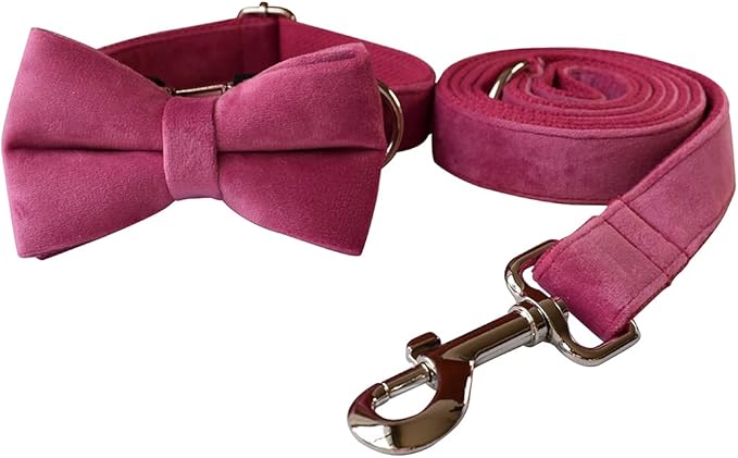 Dog Collar Custom Personalized Engraved Name and Phone Number for Puppy Small Medium Large Pets (M, Rose)