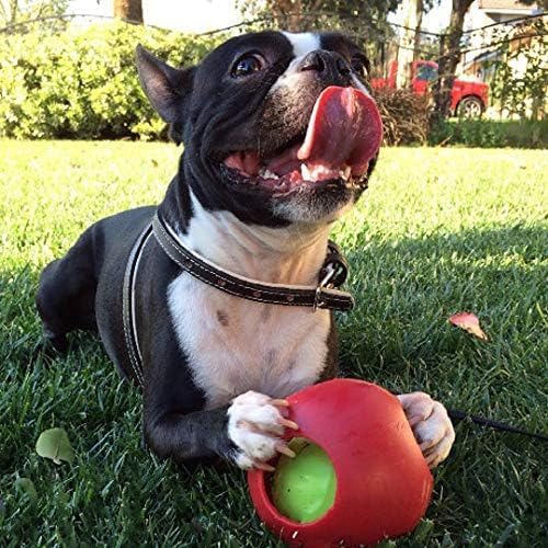 Jolly Pets Teaser Ball Dog Toy, Small/4.5 Inches, Red (1504 RD)