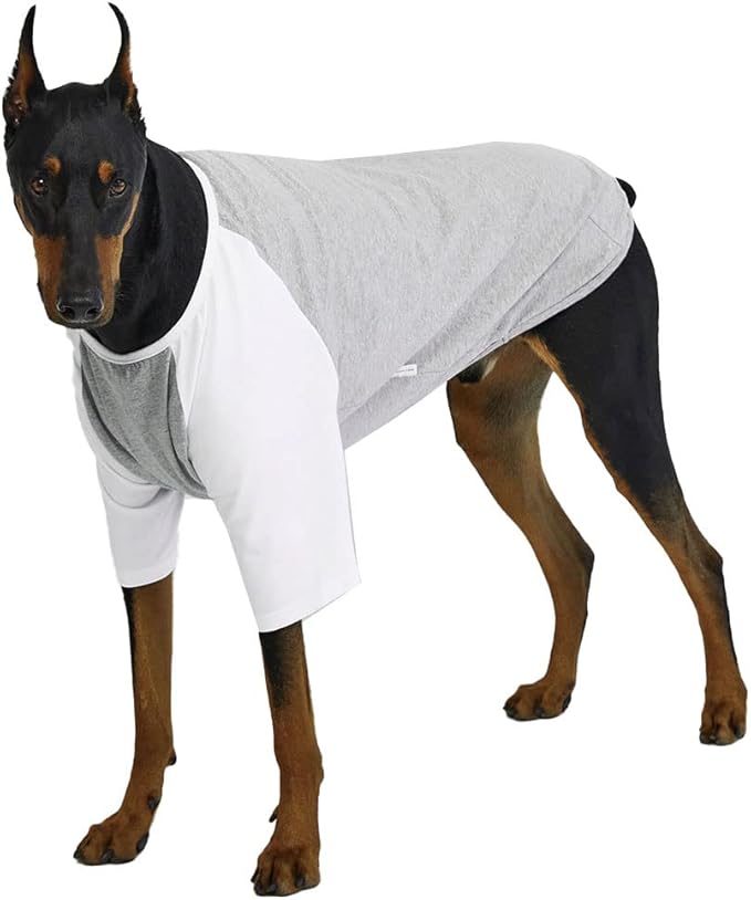 Dog Shirt for Small and Large Dogs Raglan Cotton T-Shirts Soft Breathable Dog Shirts pet Clothes Gray Series (2X-Large, Gray/White)