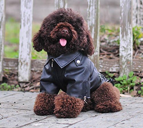 Lovelonglong Cool Dog Leather Jacket, Warm Coats Dogs Windproof Cold Weather Coats for Large Medium Small Dogs, Husky Clothing Black L-M