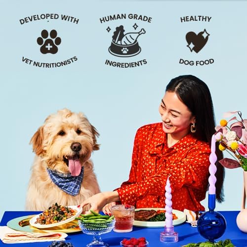 The Pets Table Human-Grade Chicken Casserole Fresh Dog Food, Dog Food Topper or Complete Meal, 9 Count of 34-oz Pouches, 19lbs