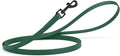 Dogline Biothane Waterproof Dog Leash Strong Coated Nylon Webbing with Black Hardware Odor-Proof Easy to Clean High Performance for Small or Large Dogs Made in USA 4 or 6 ft Lead, Hunter Green