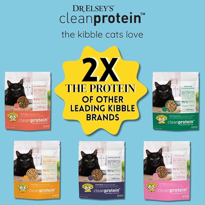 Dr. Elsey'S Cleanprotein Salmon Formula Dry Cat Food, 2 Pound (Pack of 1)