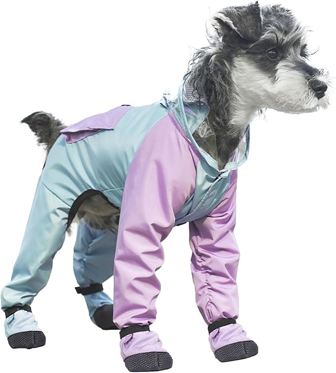 Dog Raincoat with Transparent Hood, Waterproof Jacket for Small Dogs with Snap-Button Chest, Leash Hole & Hook-and-Loop Cuffs Sleeves, Back Pocket for Treats (Blue, Small)