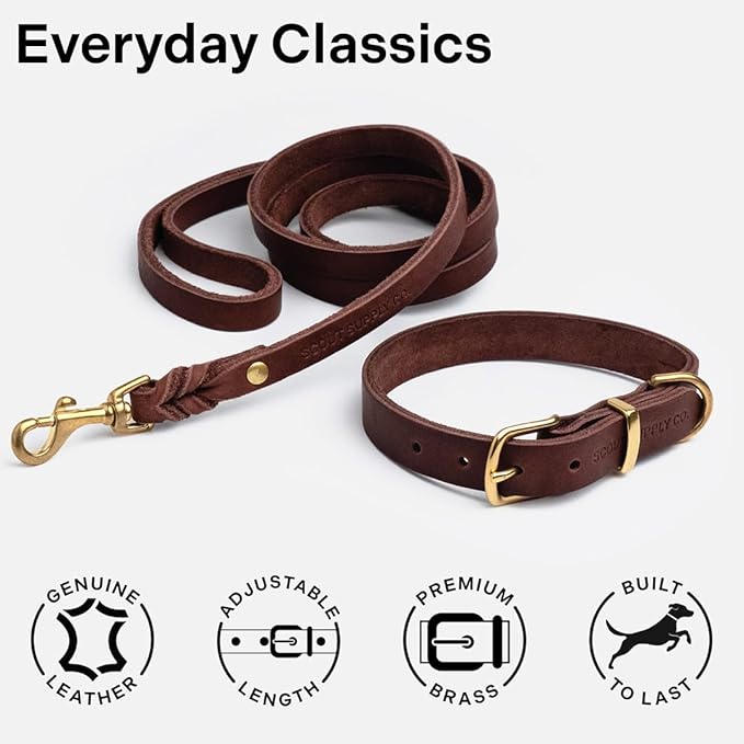 Scout Supply Classic Leather Dog Collar | Heavy Duty Thick Full Grain Leather | Waterproof & Rust-Proof Brass Hardware (Dark Brown, Small)