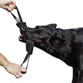 Dingo Gear French Linen tug Toy for Dog, Dog Bumper for Training, Agility, tug of war, Dog bite Pillow for Strong Dog, 2handles 11" Black S00074