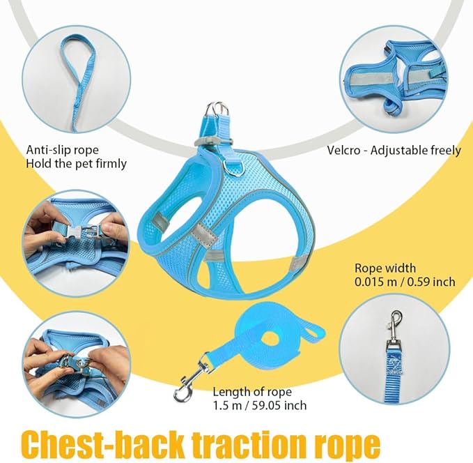 No Pull Dog Harness with Leash Set - Adjustable Reflective Step-in Puppy Vest for Small Medium Dogs & Cats, Blue M - Escape Proof Soft Mesh Comfort Harness for Walking, Choke Free Pet Safety