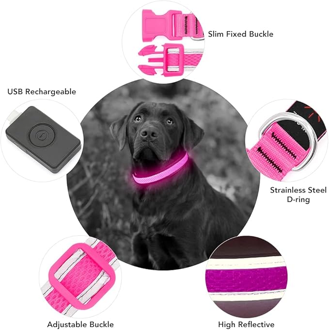 YFbrite Light up Dog Collar, USB Rechargeable LED Puppy Collar Super Bright Adjustable Glowing Dog Lights for Night Walking (Pink, Small)