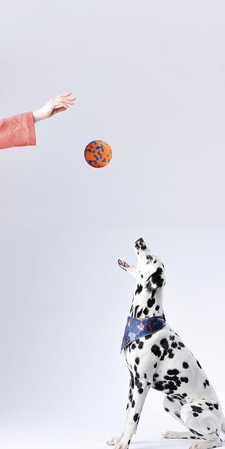 Dog Balls, Indestructible Dog Toy Ball for Aggressive Chewers, Durable High Elasticity Interactive Ball for Training Dog Catch and Fetch, Large Medium Small Dog and Puppies(Orange, 3in, 1pcs)