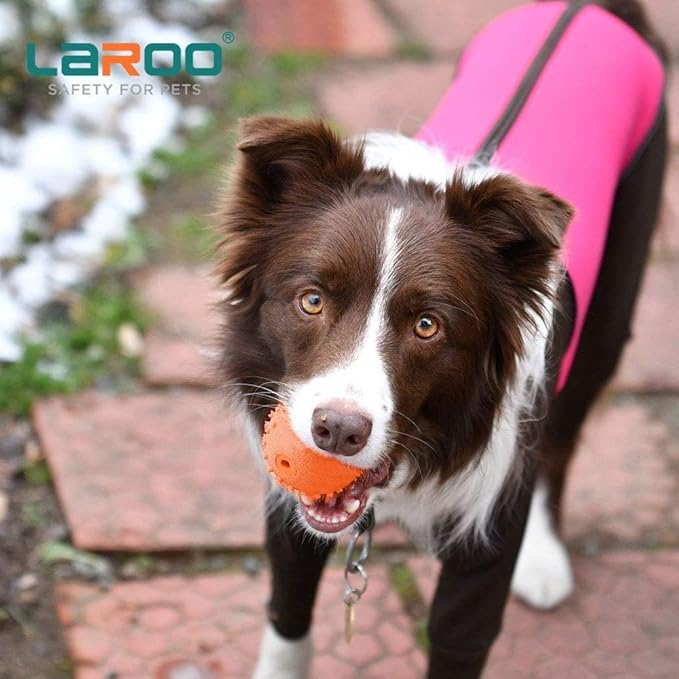 LaRoo Squeaky Dog Ball Toy, Durable Natural Rubber Squeaker Ball Floating Throwing Training, Teeth Cleaning Chew Toy for Pet Small Medium Large Dogs (6.5CM Orange)