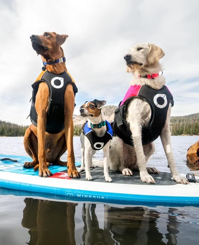 Stunt Puppy Float Doggy Life Jacket, Ergonomic Dog Life Vest for Swimming, Patented Design for Secure Fit, Small Wide, Red