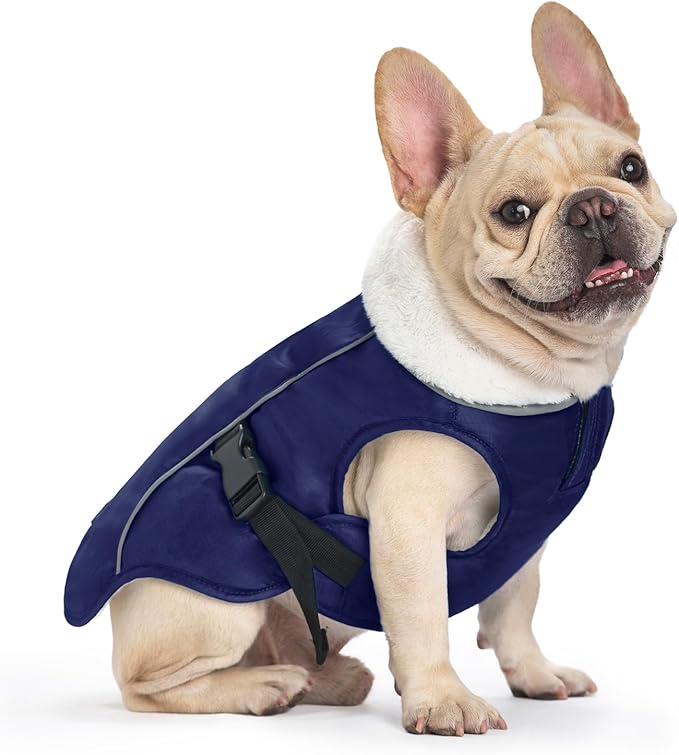 EMUST Winter Dog Jacket, Windproof Dog Apparel for Cold Weather, Reflective Coats for Dogs, Warm Puppy Jacket for Cold Winter, Blue S