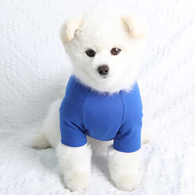 Dog Shirt for Small Dogs Plain T-Shirts Soft Breathable Dog Cotton Shirt pet Clothes (Medium, Blue)
