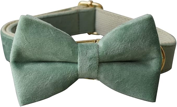 Dog Collar Custom Personalized Engraved Name and Phone Number for Puppy Small Medium Large Pets (L, Fruit Green)
