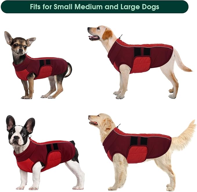 Kuoser Dog Jacket, Warm Dog Coats for Small Dogs, Reflective Doggie Winter Jacket Cold Weather Pet Coats with Leash Hole, Winter Coat Apparel for Yorkie Chihuahua, Red XS