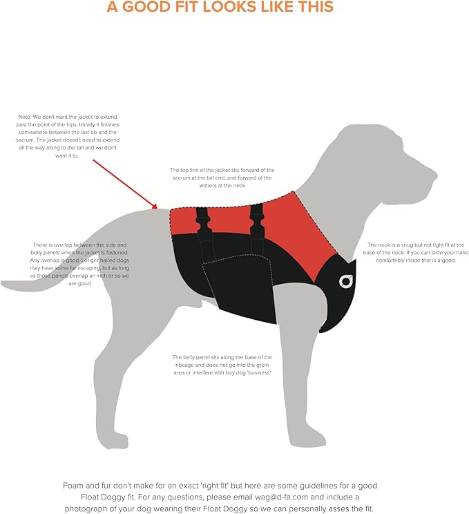 Stunt Puppy Float Doggy Life Jacket, Ergonomic Dog Life Vest for Swimming, Patented Design for Secure Fit, Small Wide, Blue
