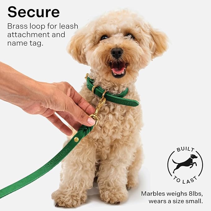Classic Genuine Leather Dog Collar | Dog Collars for Medium Dogs, Small Dogs, Large Dogs & Extra Large Dog | Wide Dog Collar | Heavy Duty Collar (Green, XX Large)