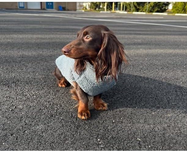 Gooby Sherpa Vest - Stone Blue, 2X-Large - Warm Fuzzy Fleece Step in Dog Jacket - Winter Small Dog Sweater for Everyday Use