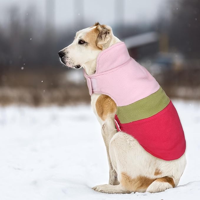 ASENKU Dog Jacket Plaid Reversible Reversible Dog Vest Waterproof Cold Winter Clothes Pet Apparel for Small Medium Large Dogs (S, Colorful)