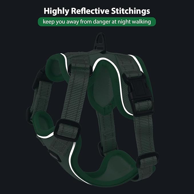 Rttochfy Cat Harness and Leash Set, Adjustable and Reflective Cat Vest, Escape Proof Kitten Harness, Easy to Put on with 3 Buckles for Cats Walking and Traveling (Green, M)
