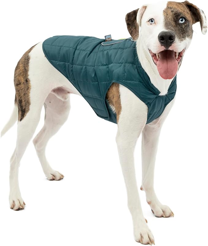 Kurgo Loft Dog Jacket - Reversible Cozy Coat for Outdoor Adventures - Water Resistant - Athletic Fit - Machine Washable Fabric - Reflective Dog Gear - Medium - Ink Blue