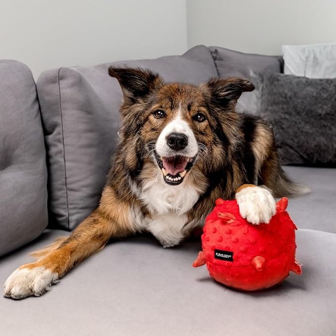 Playology Dog Toys | Puppy Toy Plush Sensory Ball for Dogs and Puppies for Dogs and Puppies | Jumbo Beef Scented Toy - Easy to Clean and Made from Non Toxic Materials