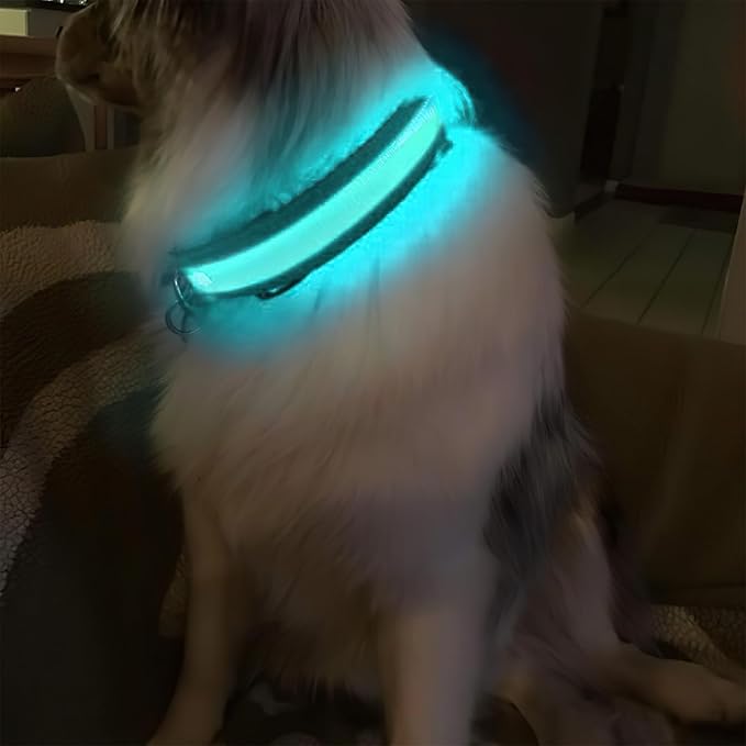 MASBRILL Light Up Dog Collars - LED Dog Collar Rechargeable Lighted Dog Collars for Night Resistant-Water Glow Dog Collar