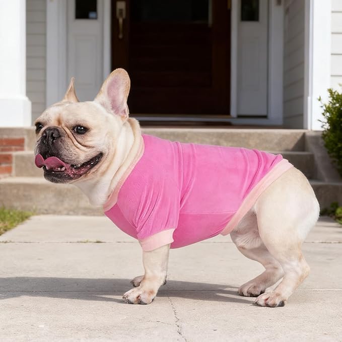 GreenJoy Classic Fleece Dog Sweater – Soft & Warm Stretchy Sweatshirt for Small Dogs & Cats, Cold-Weather Pullover for Everyday Wear (Dark Pink, Medium/Large)