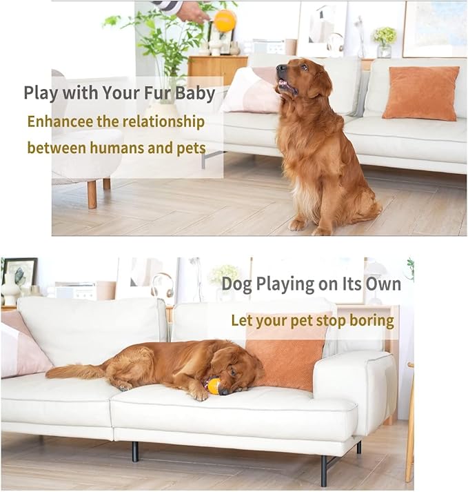 Interactive Dog Ball Toy, Smart Tennis Pets Chew Toys, Electric Launcher Durable Automatic Rolling Balls for Dogs, Cat, Bouncing Busy Ball for Small&Large Pet (Yellow Automatic)