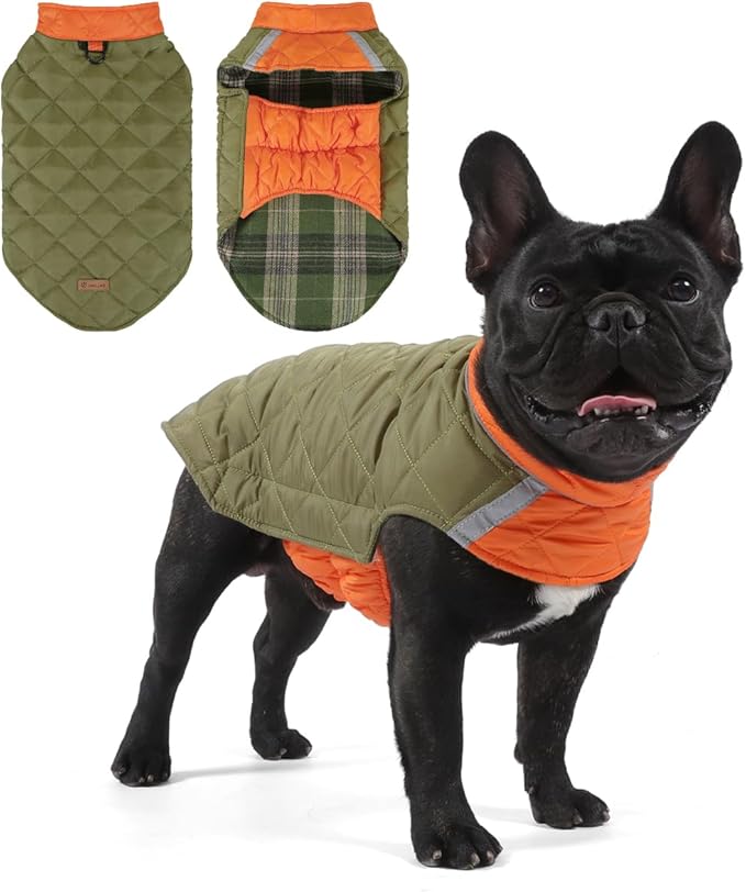 Reversible Waterproof Dog Coat - Adjustable Winter Jacket for Small to Large Breeds, Warm Cold Weather Apparel for Medium Dogs (Army Green & Orange, Medium (Pack of 1))