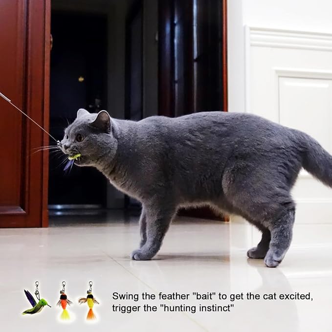 TTcat Cat Feather Toys Replacement,3 Pcs Hummingbird Insect Feathers Refills for Cat Wands.