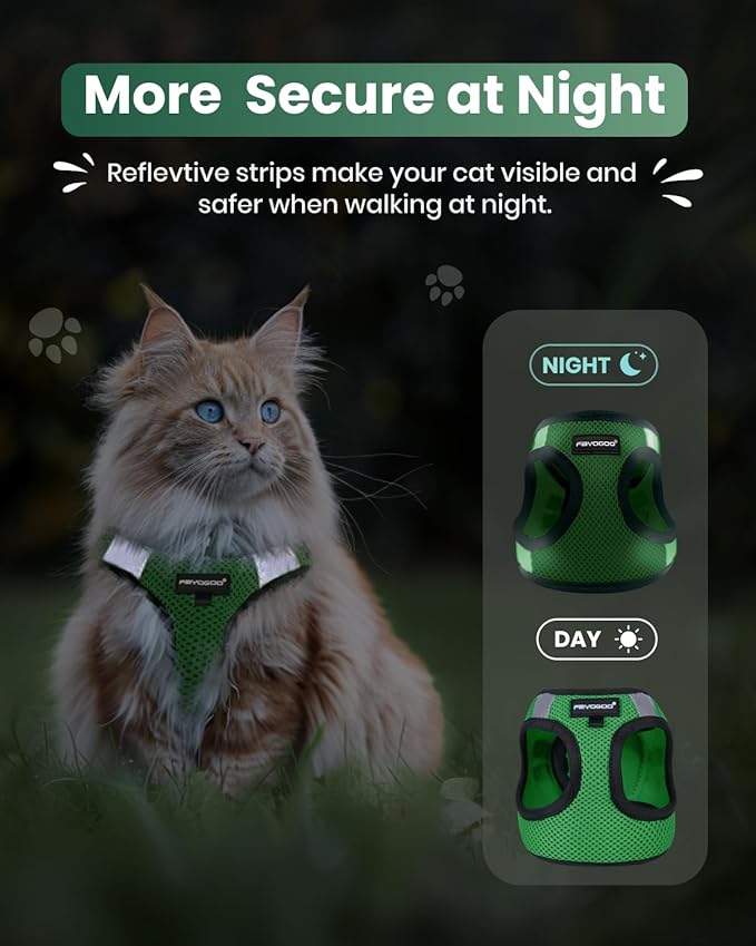 FAYOGOO Cat Harness, Cat Leash and Harness Set for Walking Escape Proof, Harness for Small Cats/Small Dogs, Large Kitten/Puppy Harness and Leash, Harness for Cats S-XXL(Neon Green, X-Large)