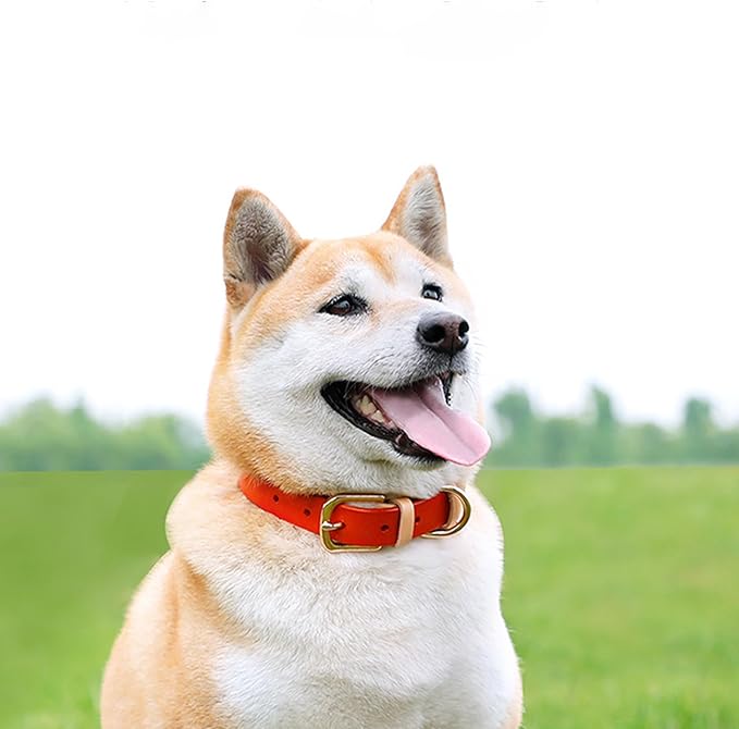 Yonsbox Personalized Dog Collar with Nameplate – Genuine Leather, Engraved Pet ID Tag with Phone Number – Adjustable Custom Dog Collar for Small, Medium & Large Dogs, Durable Cowhide Collar