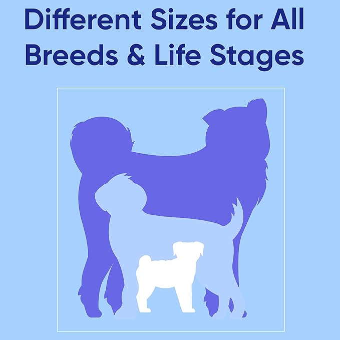 Pawtitas Personalized Dog Leash - Embroidered Customize Leash with Your Pet Name & Phone Number - 6 ft Long, Extra Small, Pink, Custom Engraved Name