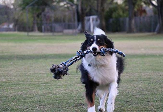 Pacific Pups Products Large Dog Rope Toy for Large Dogs - 23.5" Dog Tug of War Toy - Durable Big Pull Rope for Aggressive Chewers & Teething Puppies