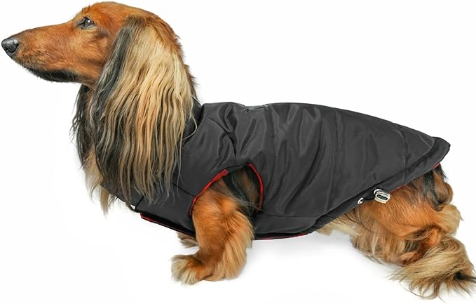 DJANGO Reversible Puffer Dog Coat – Warm Winter Dog Jacket & Water-Repellent Insulated Dog Coat with Harness Hole, Windproof, Adjustable Fit Vest for Small & Medium Dogs, Dachshunds – Black, Small