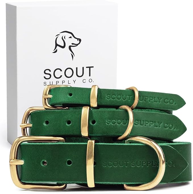 Classic Genuine Leather Dog Collar | Dog Collars for Medium Dogs, Small Dogs, Large Dogs & Extra Large Dog | Wide Dog Collar | Heavy Duty Collar (Green, XX Large)