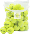Magicorange Tennis Balls, 60 Pack Advanced Training Tennis Balls Practice Ball, Pet Dog Playing Balls,Good for Beginner Training Ball