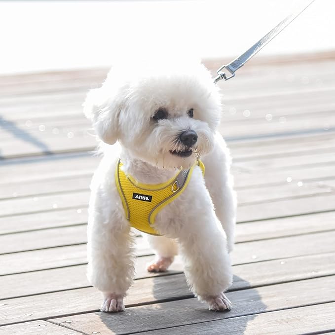 AIITLE Step in Dog Harness and Leash Set - Summer No Pull Escape Proof Harnesses with Soft Mesh and Reflective Bands, Adjustable Pet Outdoor Vest for Small and Medium Dogs Yellow M
