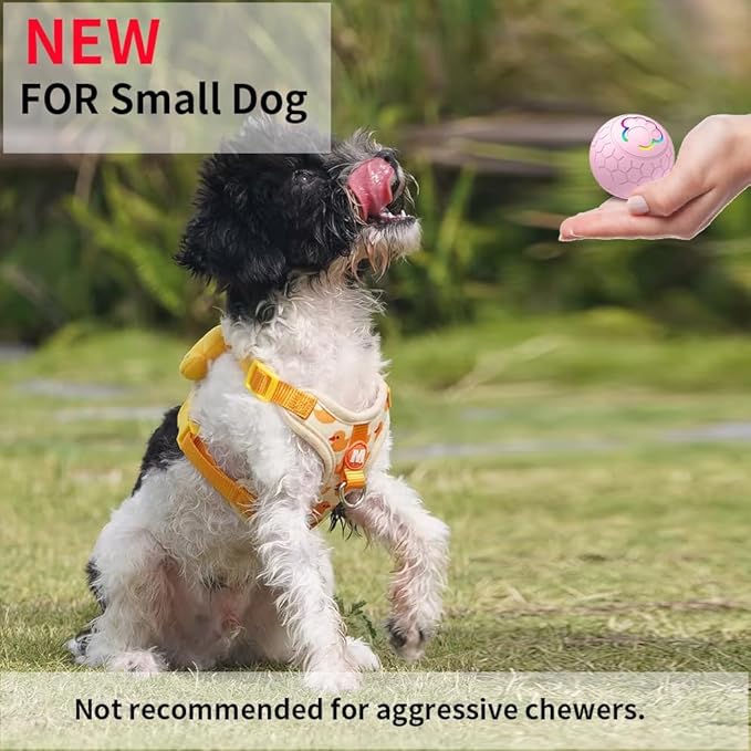 Interactive Dog Toys Dog Ball,Auto Bouncing Rotating Ball, Moving Pet Toys for Small Dogs 20 lbs (Size Small - 2.2-inch Diameter) Fun Gift for Boredom,USB Rechargeable(Pink)