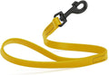 Dogline Biothane Waterproof Dog Leash Strong Coated Nylon Webbing with Black Hardware Odor-Proof Easy to Clean High Performance for Small or Large Dogs Made in USA 2 ft Lead, Treasure Gold