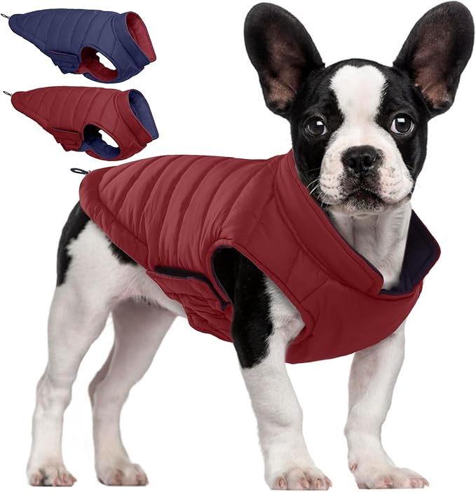 QBLEEV Reversible Dog Winter Coat, Waterproof Windproof Warm Jacket with Adjustable Hook & Loop Design, Lightweight Puffer Vest for Medium Dogs, Wine Red, M – Fits Pug, Beagle, Corgi