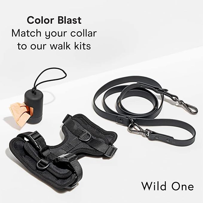 Wild One Dog Collar, The Original Easy-Clean, All Weather Flex-Poly Strap with Metal, Durable, Dirt and Odor Resistant, Size XL, Black