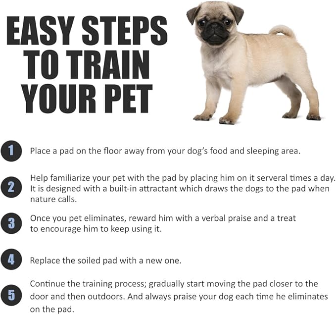 BV Charcoal Puppy Pads 100 Count 22"x22" - Leak-Proof Pee Pads for Dogs with 6-Layer Absorbent Design & Built-in Attractant - Dog Pad with Charcoal for Odor Control, Perfect for Puppies & Senior Dogs