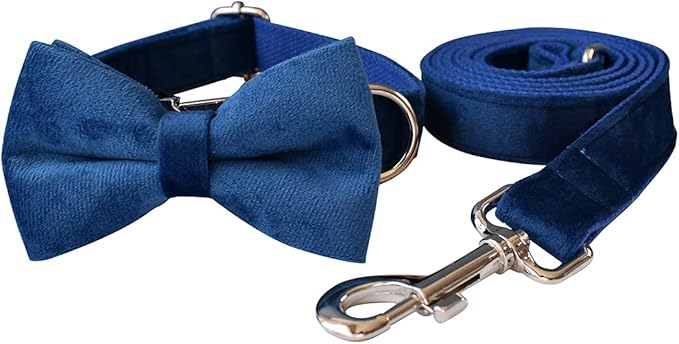 Dog Collar Custom Personalized Engraved Name and Phone Number for Puppy Small Medium Large Pets (S, Blue)